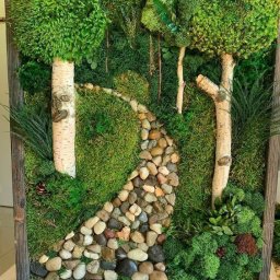 ​Лесные пейзажи с камнями в рамке