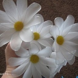 Ромашки из капpoна