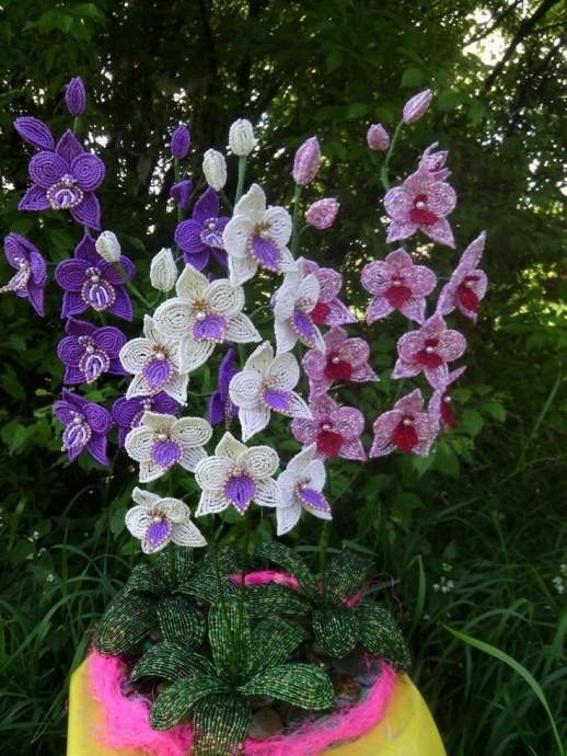 Красота для вашего вдохновения Красота для вашего вдохновения