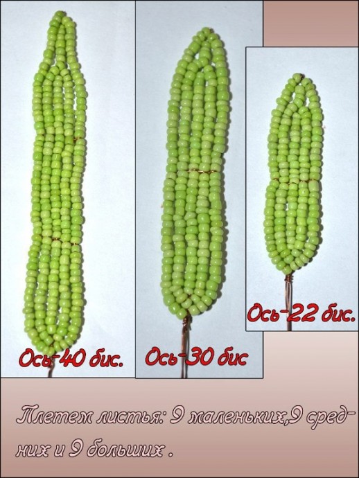 Прекрасный гелениум