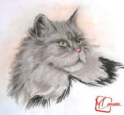 ​Рисуем роскошную кошку