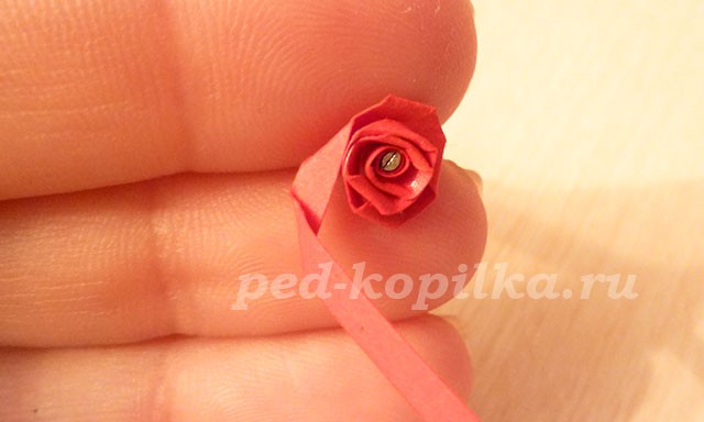 Картина в технике квиллинг: мастер-класс