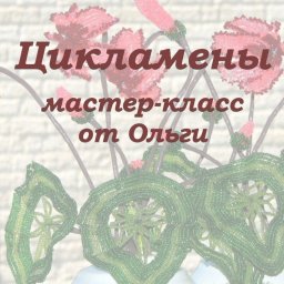Цикламены: мастер-класс