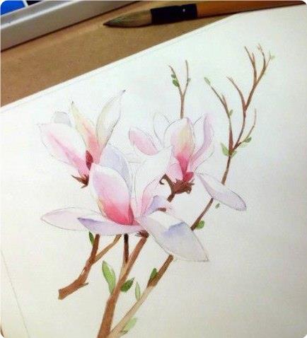 Пишeм цвeты aквapeлью