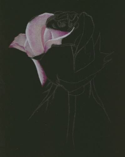 Урок рисования: роза