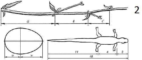 Золотое сечение в живописи