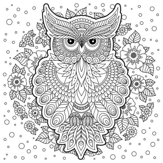 Антистрессовые раскраски с совами