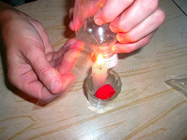 Цветы из пластиковых бутылок для сада: мастер-класс Цветы из пластиковых бутылок для сада: мастер-класс