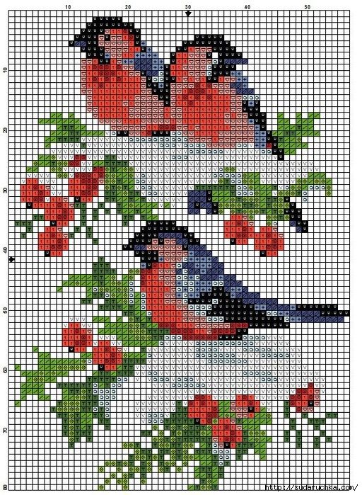 Подборка схем вышивки с птичками