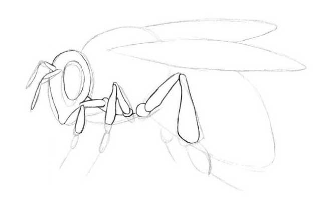 Рисуем пчелу