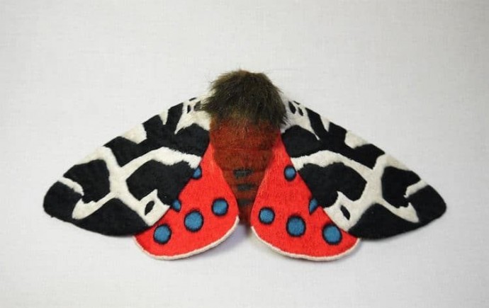 ​Удивительные бабочки: замечательные идеи для вдохновения
