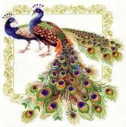 ​Вышиваем роскошных павлинов