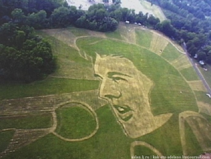 Картины трактором в полях
