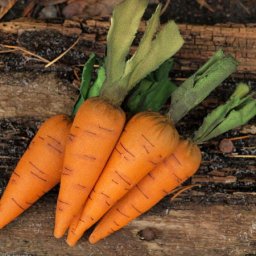 Шьем интерьерную морковку для украшения кухни