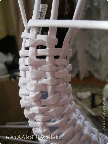 Лебедь из газет