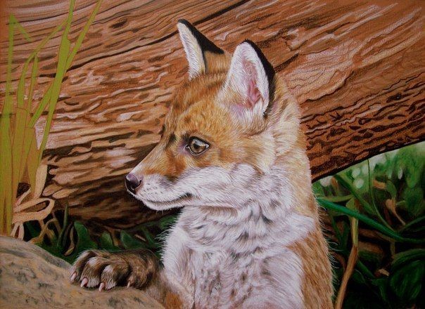 ​Рисуем лису