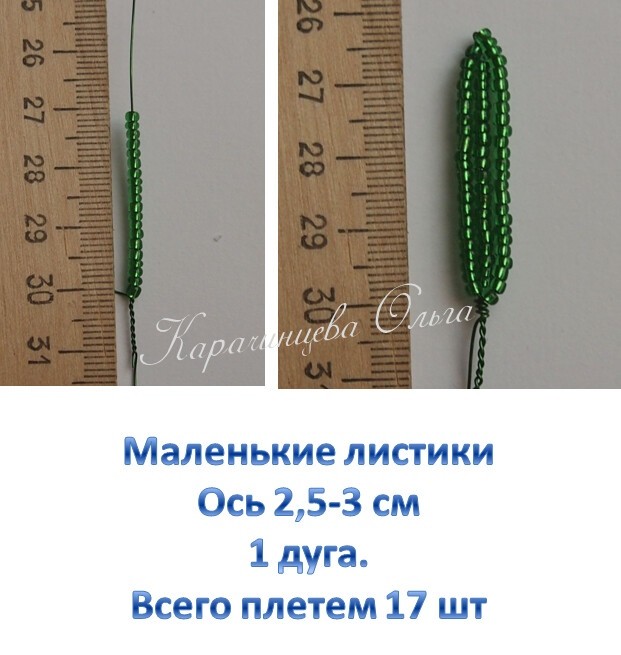 ​Нежные подснежники