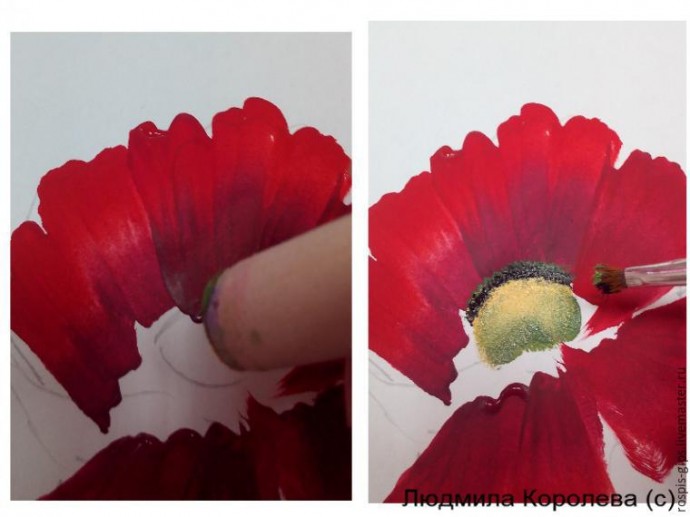 Рисуем прекрасный мак в технике One Stroke (двойной мазок): мастер-класс