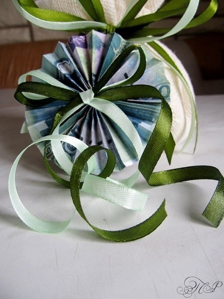 Денежное дерево