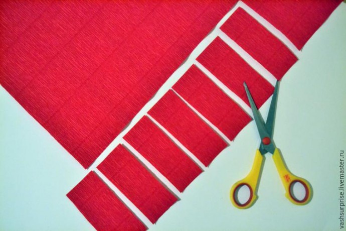 Флористика: роза