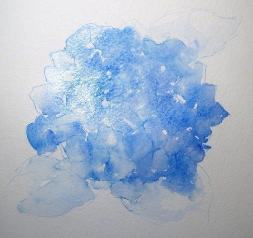 Урок рисования акварелью: гортензия