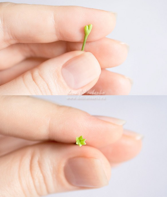 Лепим примулу