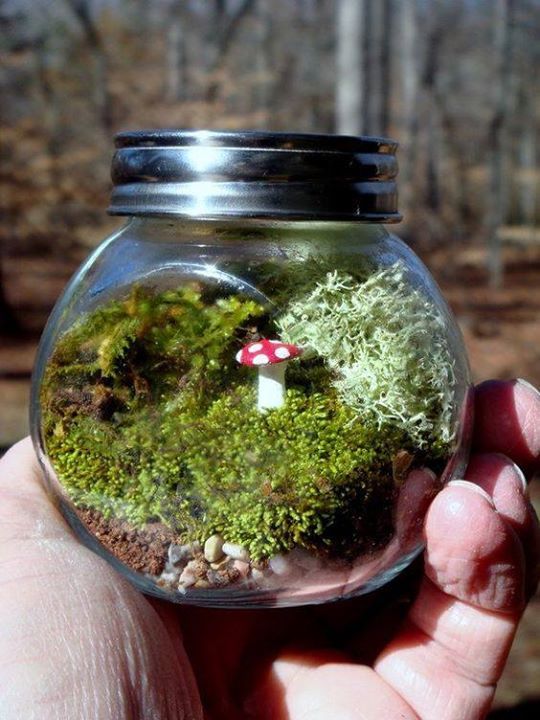 Маленькие миры в стеклянной посуде: идеи