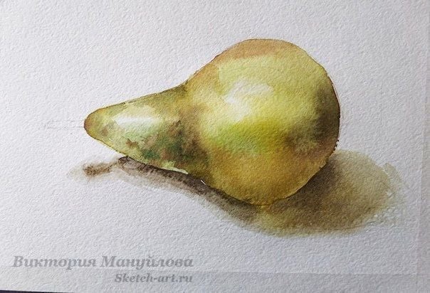 ​Как нарисовать грушу акварелью