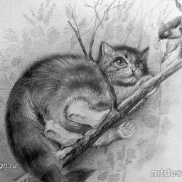 ​Котик на ветке около птички