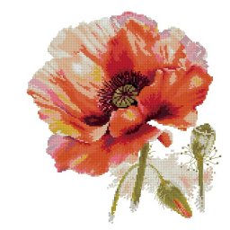 ​Вышиваем прекрасный мак