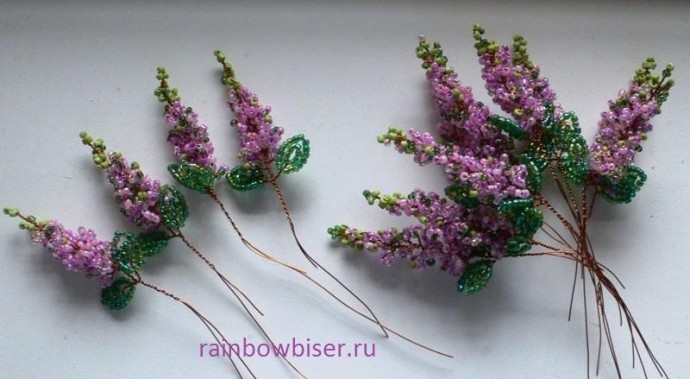 Дерево цветущей акации