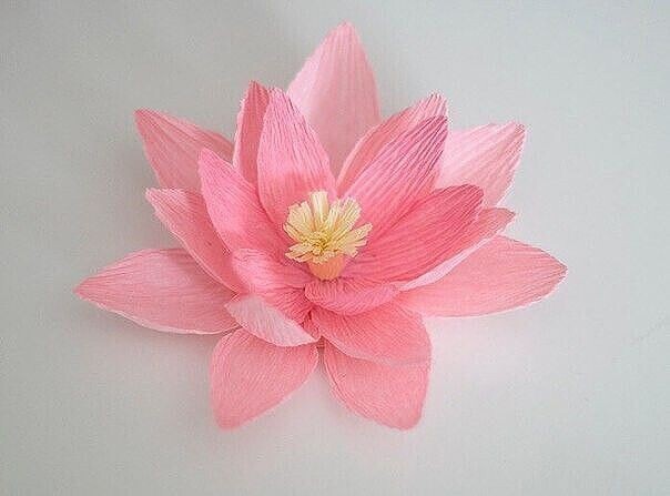 Нежные лотосы из гофре бумаги
