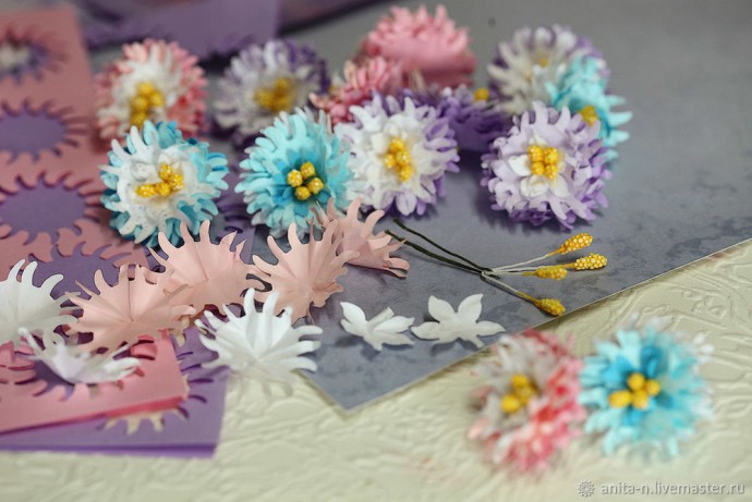 Декоративные астры