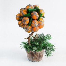 Мандариновое дерево