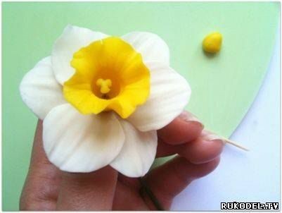 Нарцисс: мастер-класс