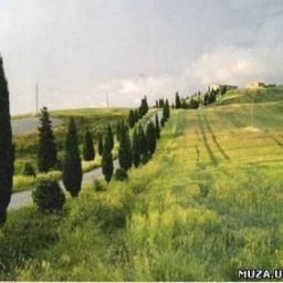 Пейзаж акварельными карандашами