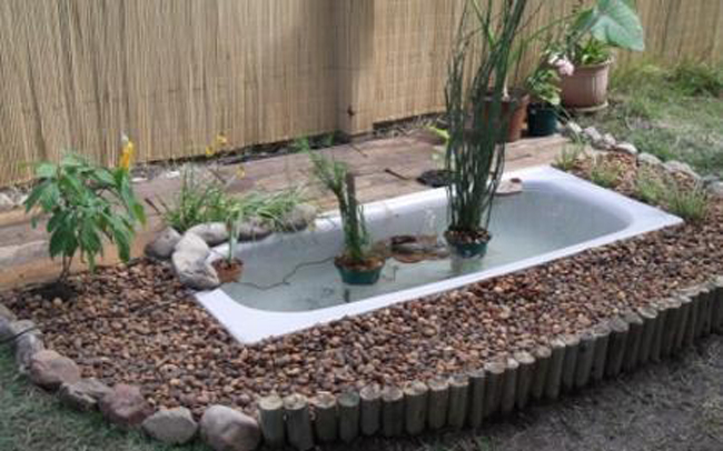 Самые разные идеи использования ванны в саду