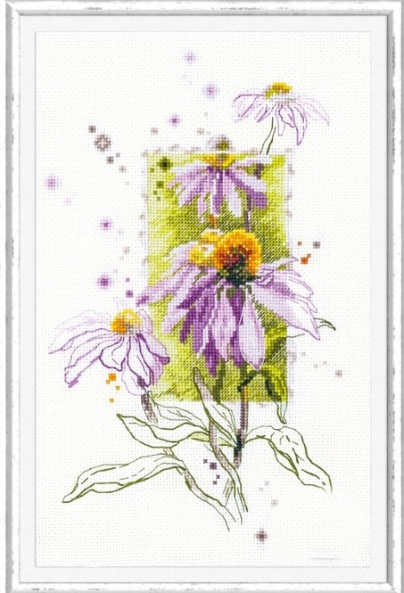 Эхинацея крестиком