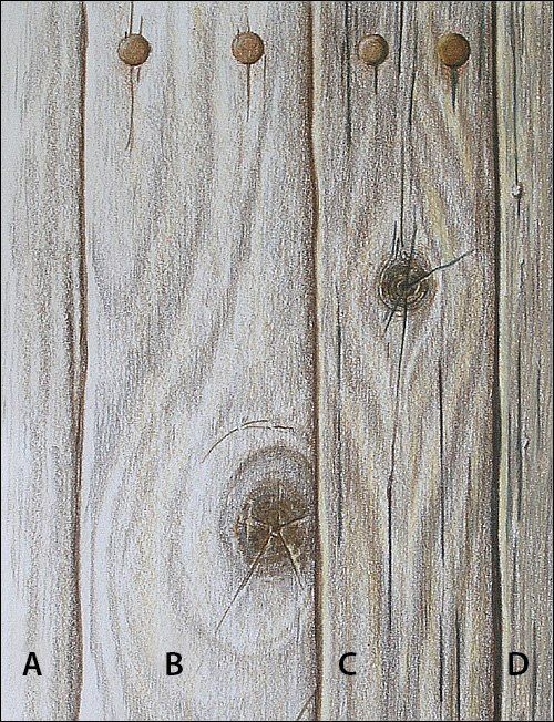 Урок рисования: деревянная текстура