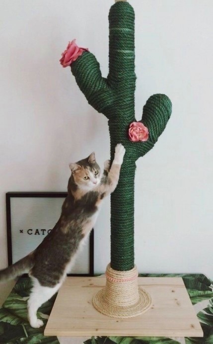 ​Когтеточка для кота в виде кактуса