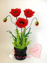 Восхитительные маки