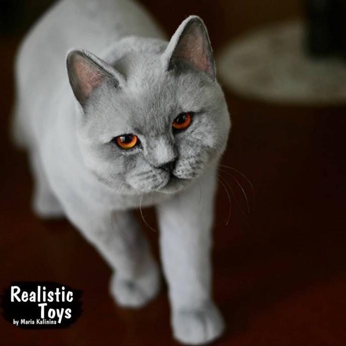 Нереально реальные животные