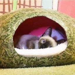 Домик для котика своими руками