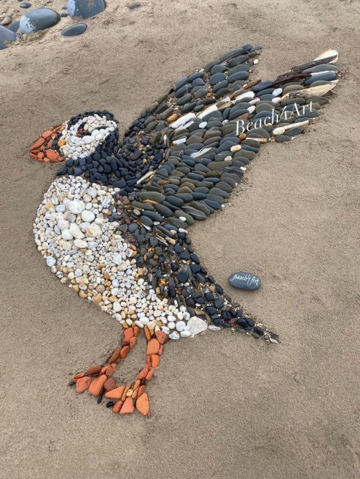 Невероятные произведения искусства из природных материалов на берегу