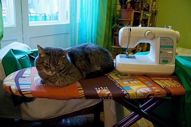 Маркиза для автомобиля своими руками