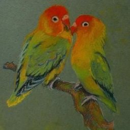 Рисуем попугаев-неразлучников