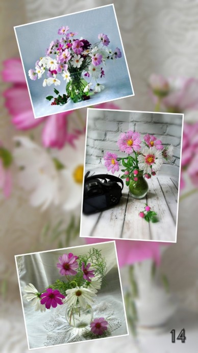 Мастер-класс "​Космея"