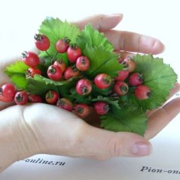 ​Мастер-класс по лепке ягод