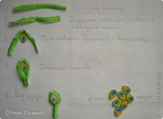 ​Павлин в технике квиллинга