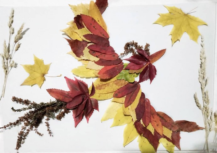 Удивительные аппликации из осенних листьев